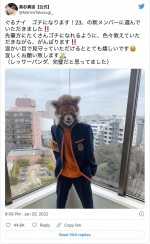 “レッサーパンダ”姿の高杉真宙　※「高杉真宙」公式ツイッター