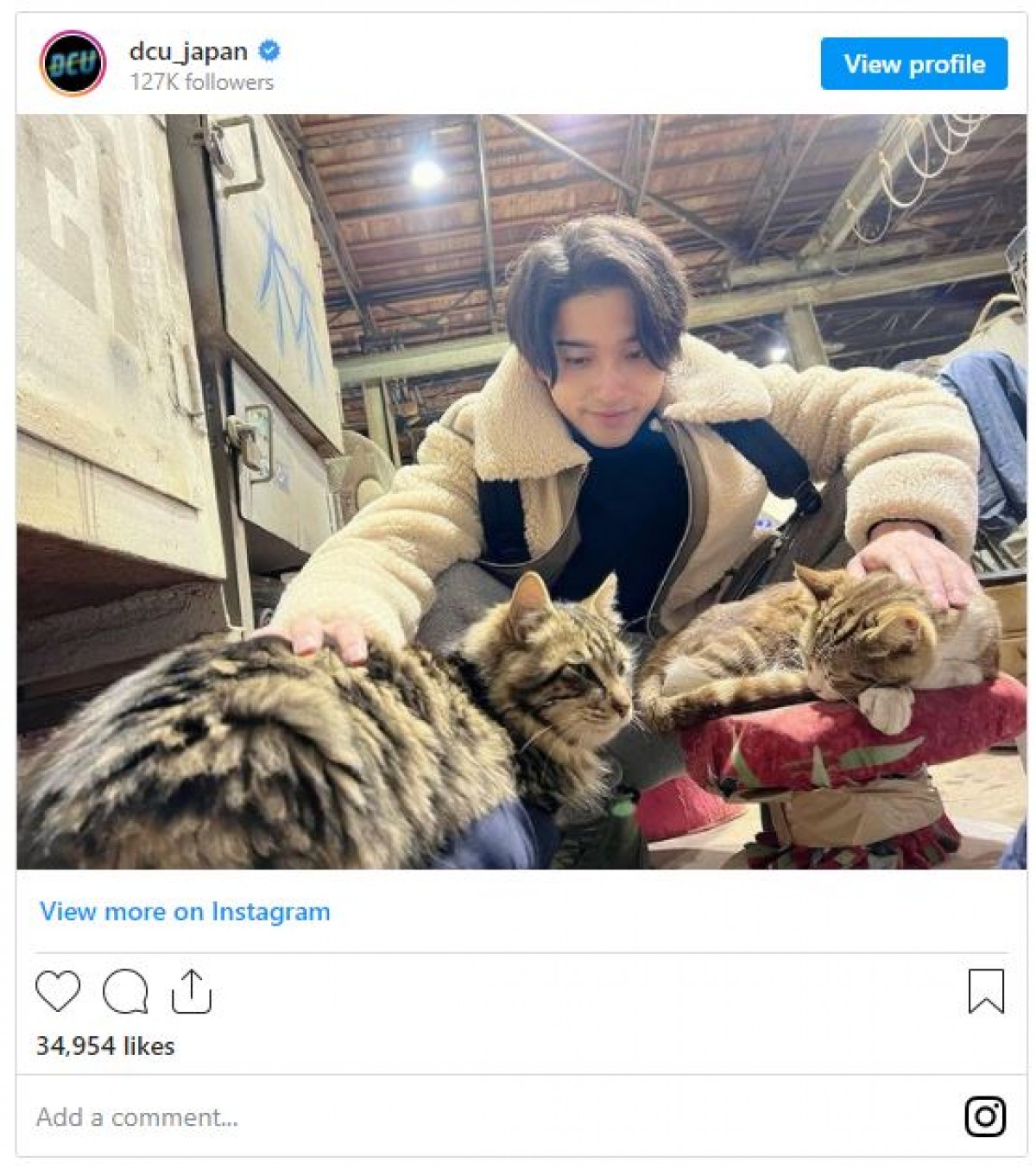 『DCU』横浜流星、暖を取りながら猫なでなで　癒やしショットに「猫より可愛い瀬能さん」の声