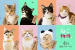 ドラマ『ねこ物件』エイプリルフール限定ビジュアル