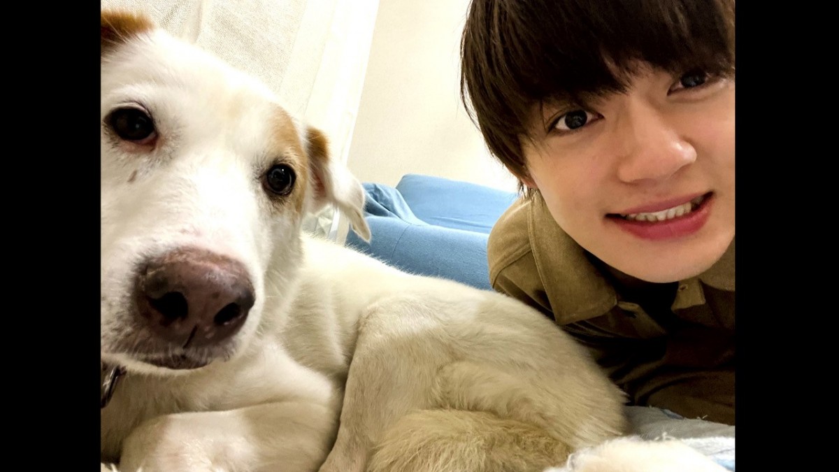 佐野勇斗、共同生活をした保護犬・ウォンカに感謝　「素敵な日々本当にありがとう！」