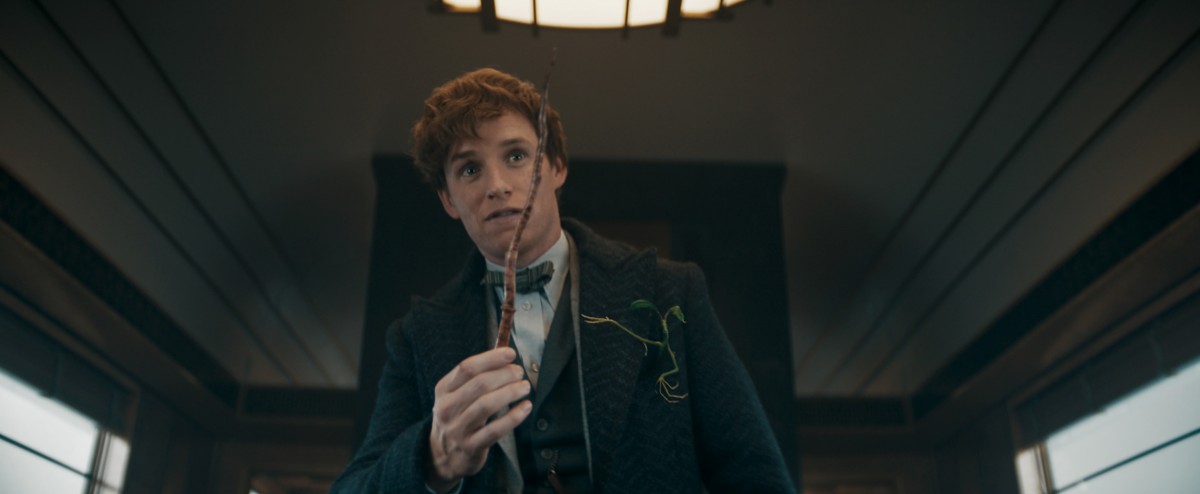 『ファンタビ』エディ・レッドメイン来日決定!