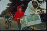 土曜プレミアム 映画『E．T．』場面写真