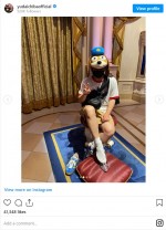 ディズニーランドを楽しむ千葉雄大 ※「千葉雄大」インスタグラム