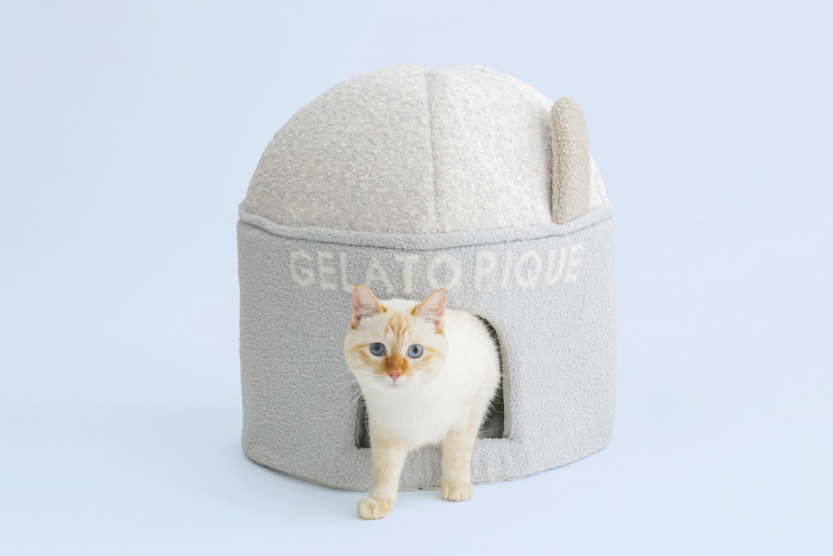 「GELATO PIQUE CAT＆DOG（ジェラート ピケ キャット＆ドッグ）」