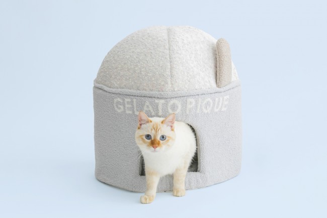 写真）「ジェラピケ」初の犬猫用アイテム発売へ！ 定番素材を使用した