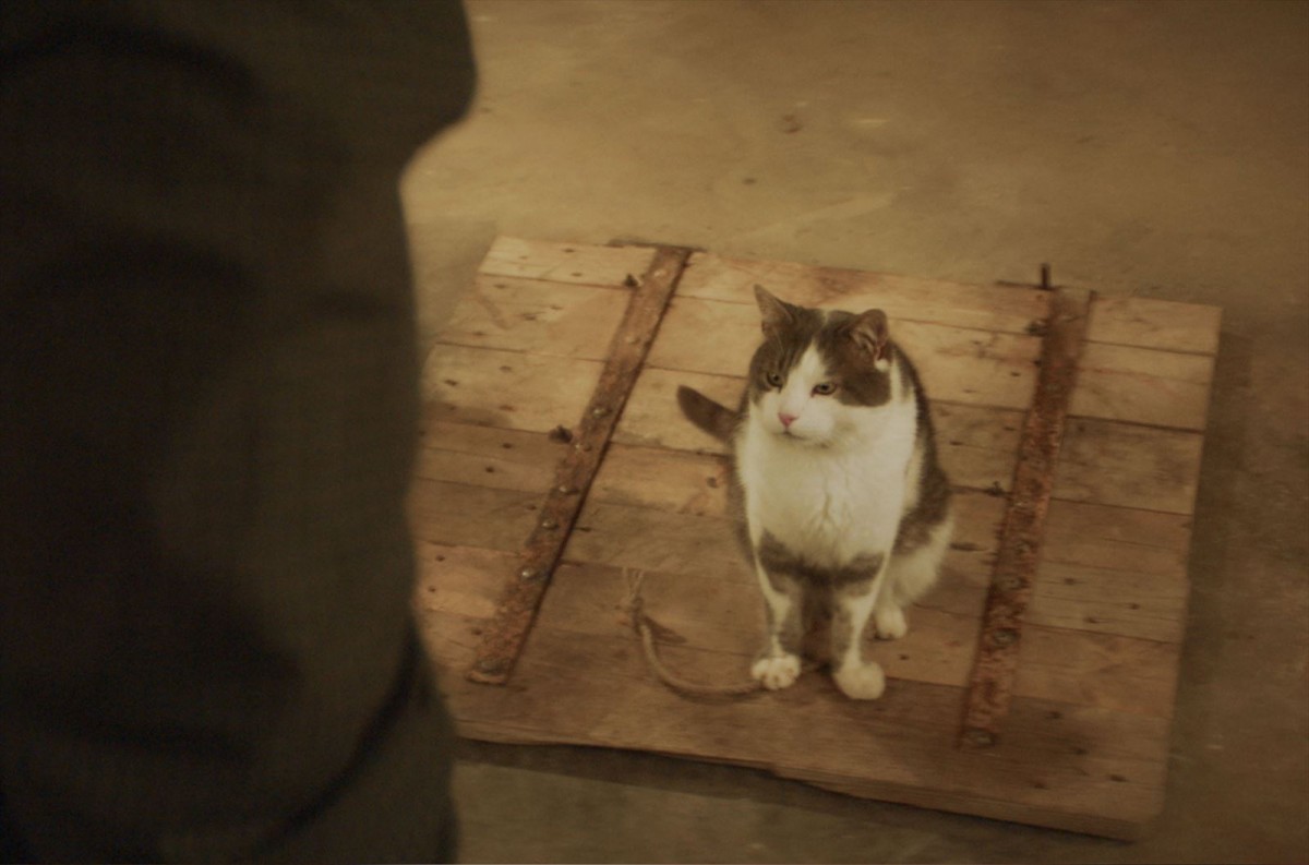 意味深に現れるナゾの猫――『地下室のヘンな穴』本編映像初解禁