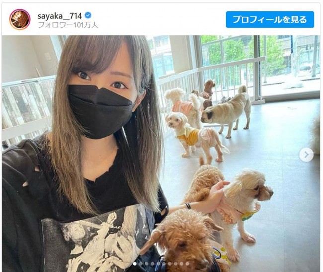 山本彩 保護犬 猫カフェ へ 小さくても出来ることは確実にある 22年8月31日 エンタメ ニュース クランクイン