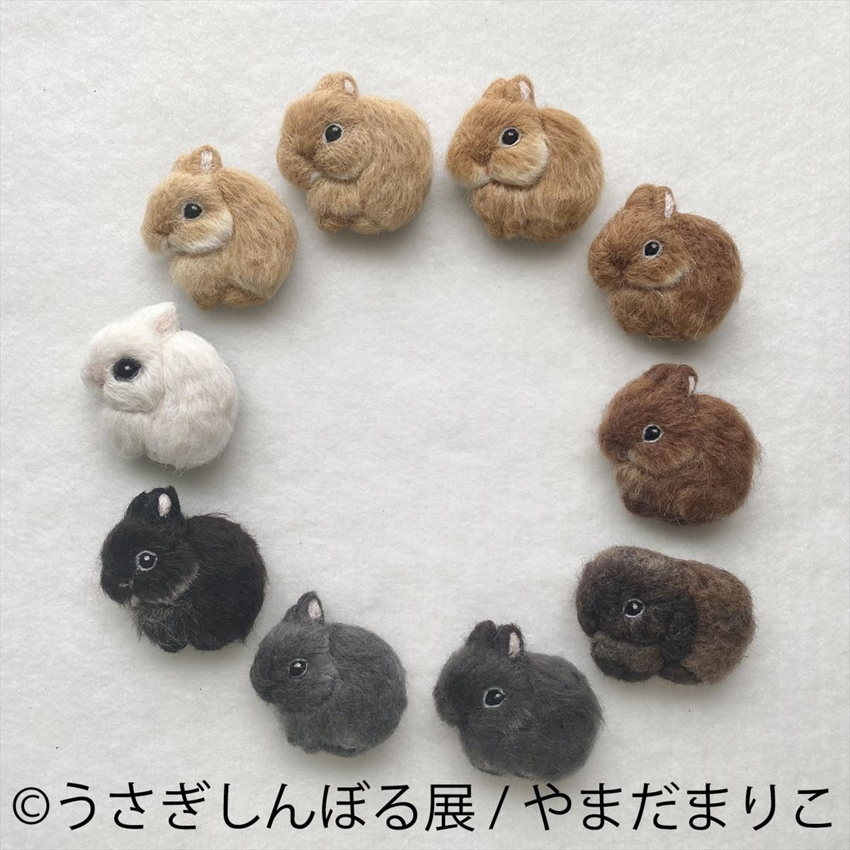 20220818うさぎ