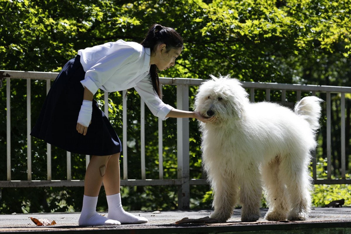 田中圭ら、俳優犬ベックのかわいすぎるNGにメロメロ　映画『ハウ』現場オフショット映像到着