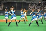 北海道日本ハムファイターズ「きつねダンスDAY」より