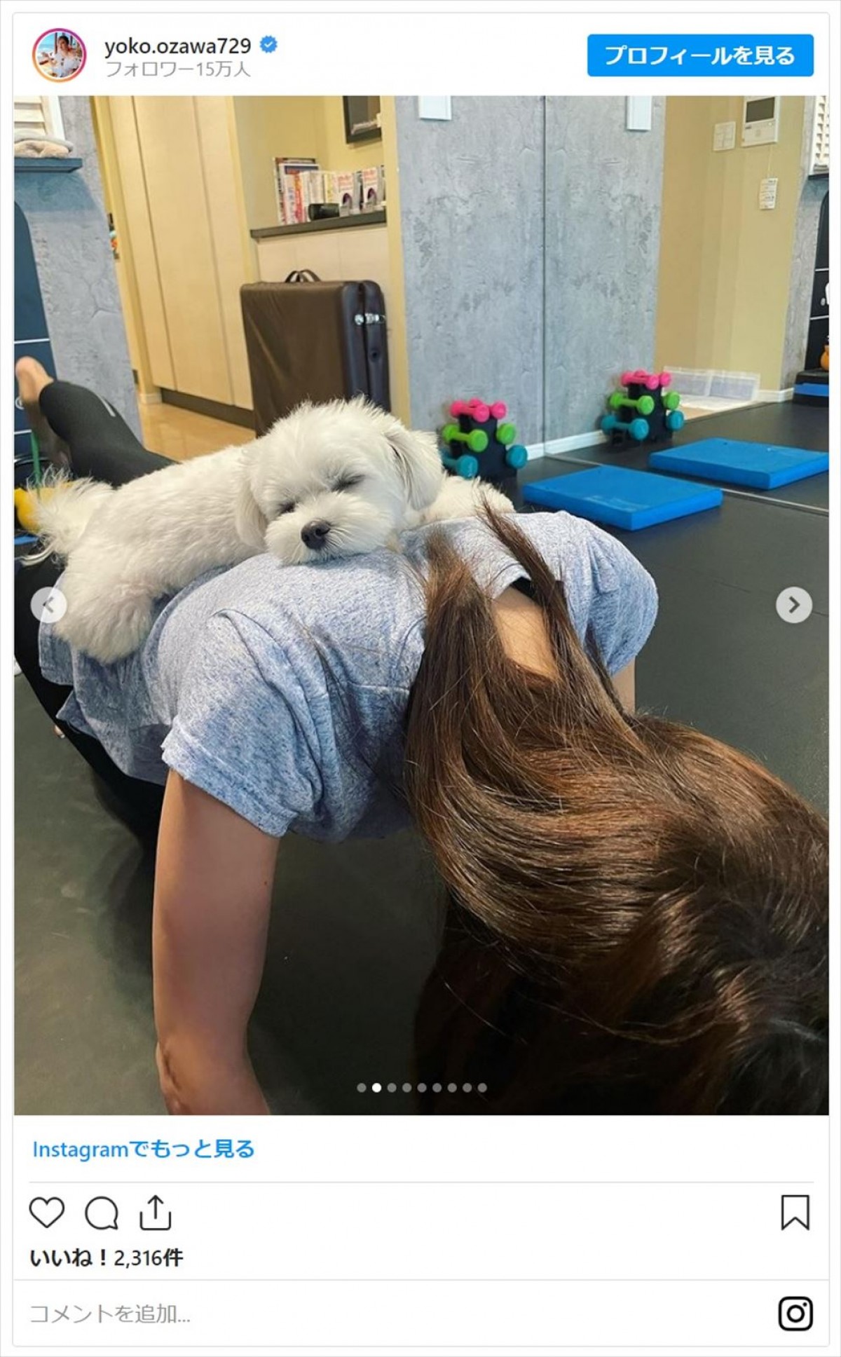 小澤陽子アナ、愛犬で“加重”のトレーニング姿にファン「楽しそう」「カワイイトレーナーさんですね」