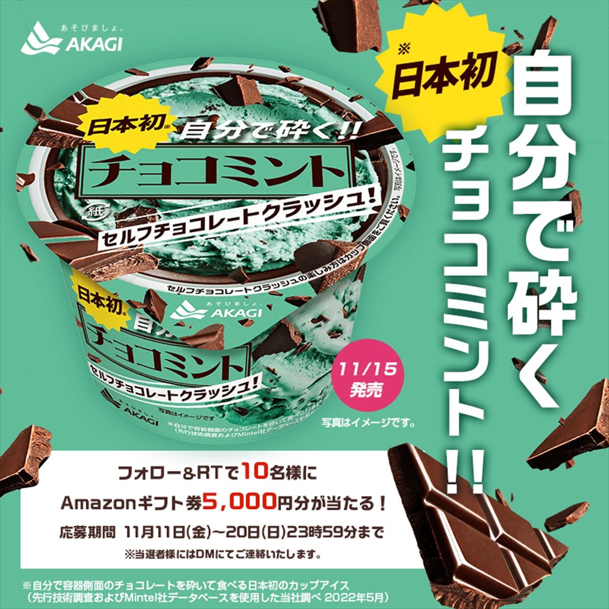 20221109チョコミント