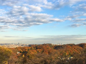 自然豊かな「生田緑地」の紅葉20221123