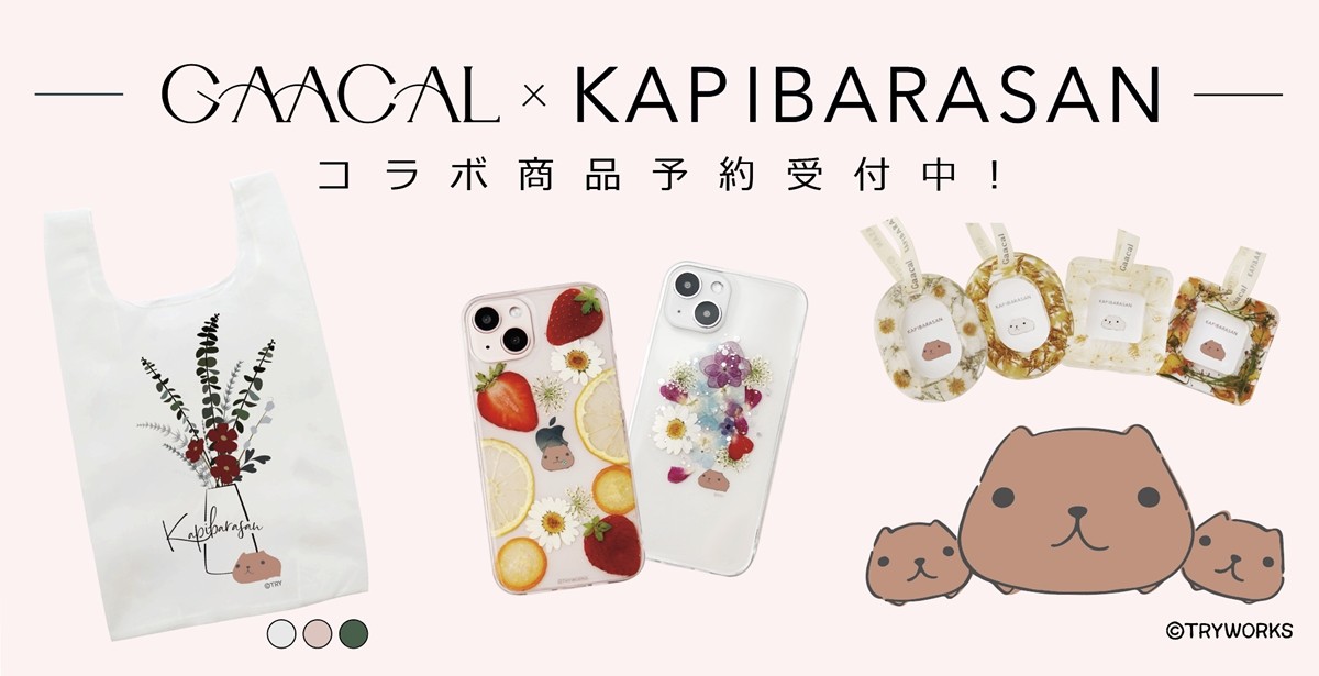 カピバラさん×GAACALコラボグッズ発売！