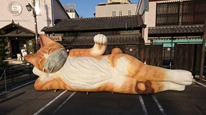 『じゃらん』一度は行ってほしい猫スポット5選