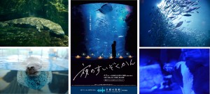 京都水族館「夜のすいぞくかん」4．2から開催！