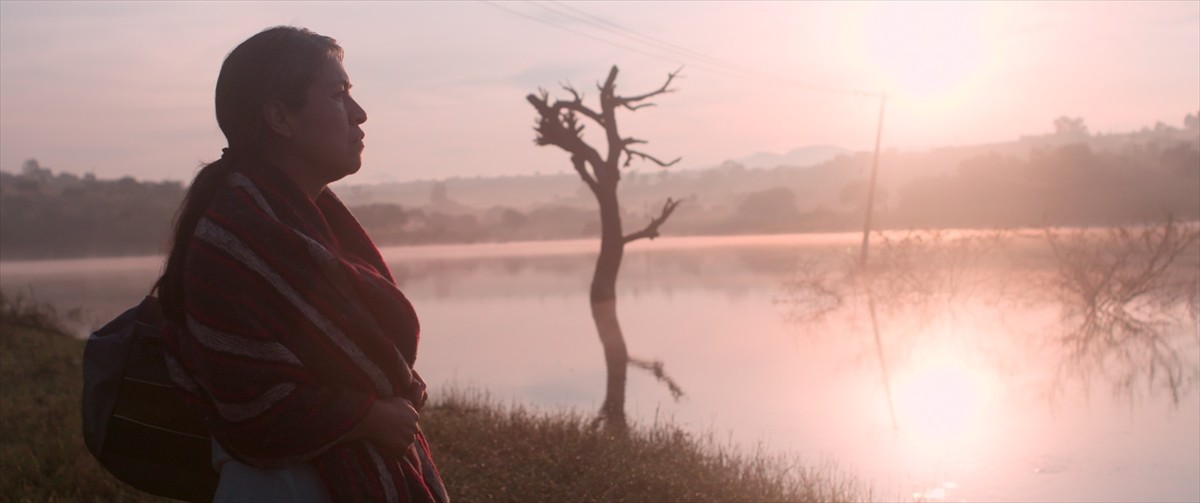 世界の映画賞を席巻！　行方不明の息子を探す母の旅路を描くメキシコ映画『息子の面影』予告解禁