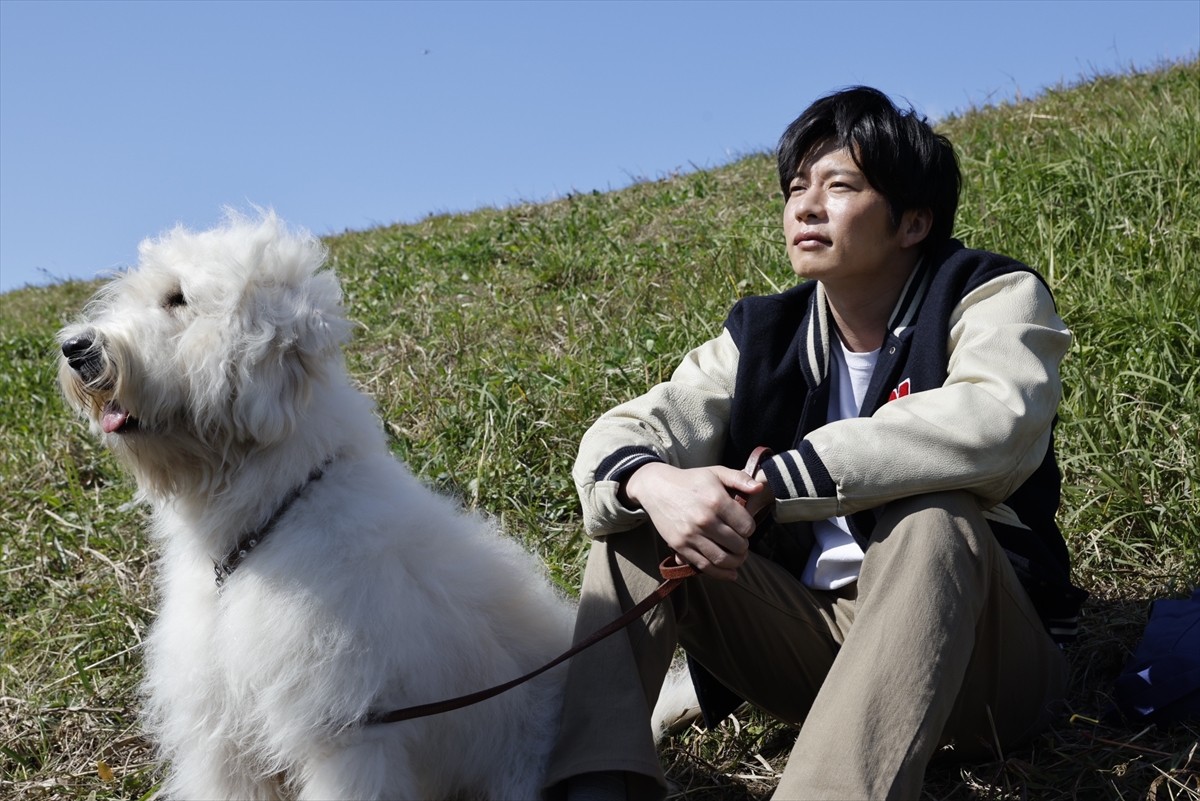 田中圭「ハウのピュアさにずっと癒されていた」　豪華キャストと保護犬“ハウ”の心温まる場面写真公開