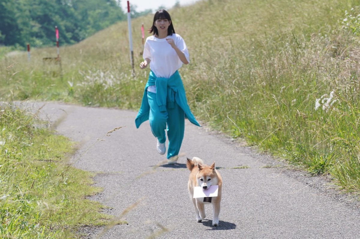 『ナンバMG5』特別編　剛の愛犬・松が家出　1通の“手紙”をめぐる騒動を巻き起こす