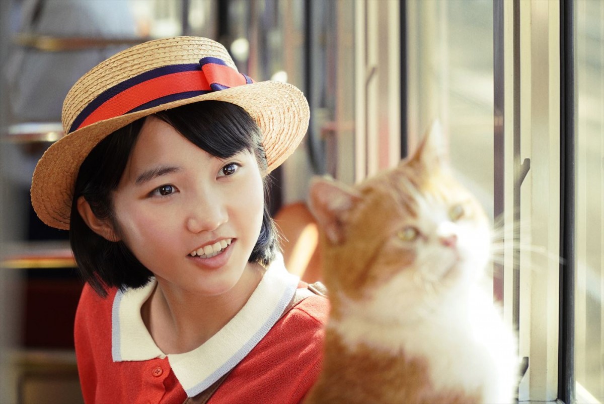 実写映画『耳をすませば』、8月8日「世界猫の日」記念・猫のムーンの場面写真解禁
