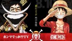 【写真】『ONE PIECE』と再コラボ！『ホンマでっか！？TV』“白ひげ”さんま＆ルフィ画像