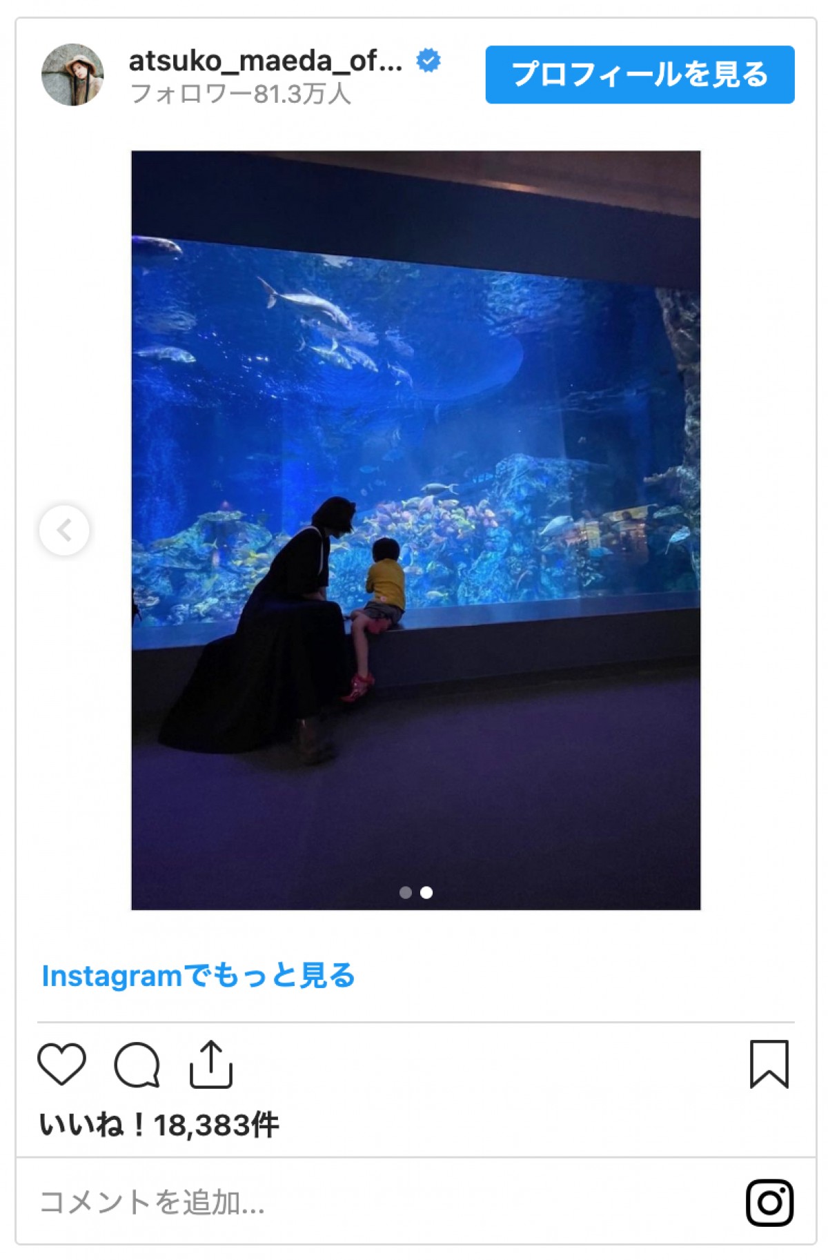 前田敦子、3歳息子と“絵になる”水族館デートを報告「後ろ姿そっくり」