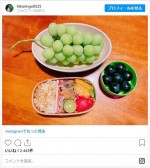 石田ひかりが公開したお弁当 ※「石田ひかり」インスタグラム