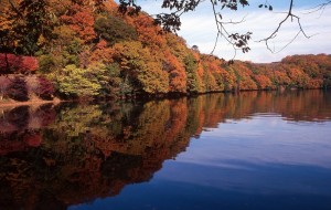 静岡の“一碧湖＆丸山公園”で紅葉が12月上旬見頃に！　湖面に映る幻想的な景色を堪能