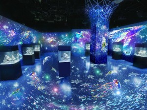 221220_NAKED SNOW AQUARIUM