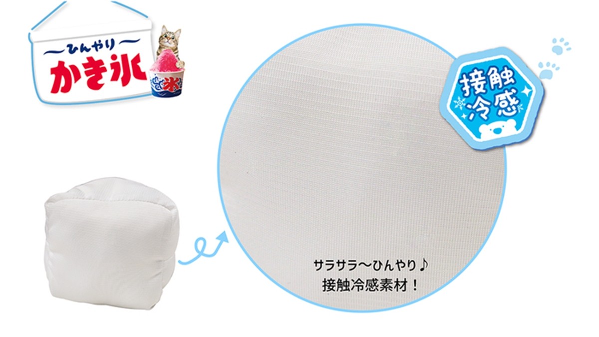 猫ちゃんが“ひんやりおやつ”に？