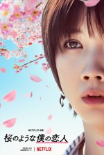 Netflix映画『桜のような僕の恋人』キャラクターアート