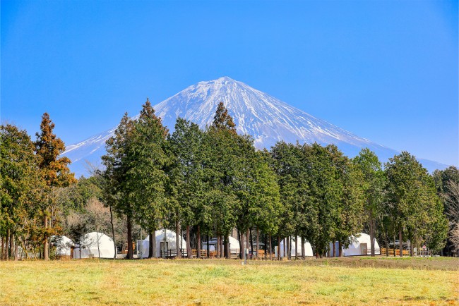 静岡・富士山麓に“全8棟のグランピング施設”オープンへ！　家具メーカーとコラボした部屋も