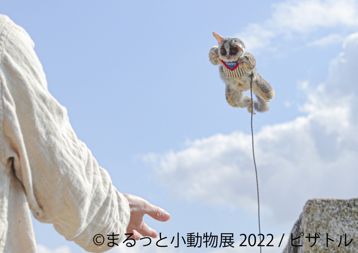 20220414＿「まるっと小動物展 2022」