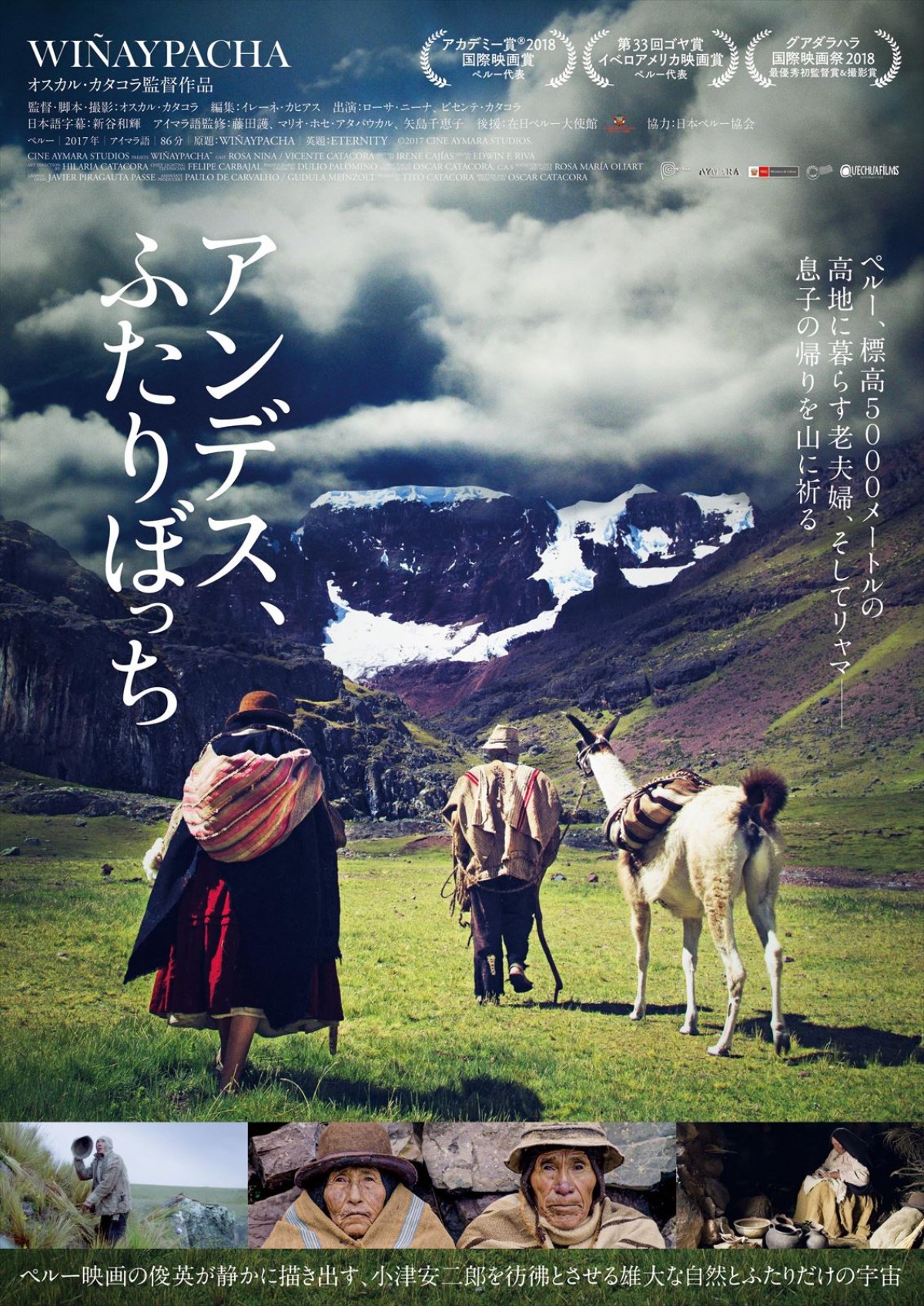 映画『アンデス、ふたりぼっち』ポスタービジュアル