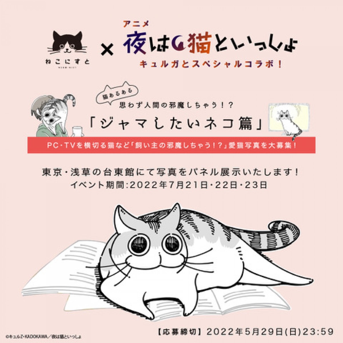 アニメ『夜は猫といっしょ』8.3放送開始　キャストは高垣彩陽、日野聡、種崎敦美