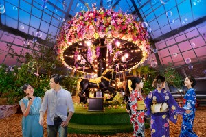 千葉・京成バラ園“ライトアップイベント”開催へ！　夏バラ開花に合わせた幻想的な6日間