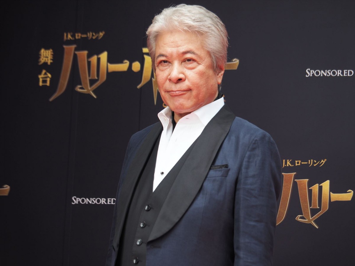 向井理、綾瀬はるから舞台『ハリー・ポッター』レッドカーペットに登場