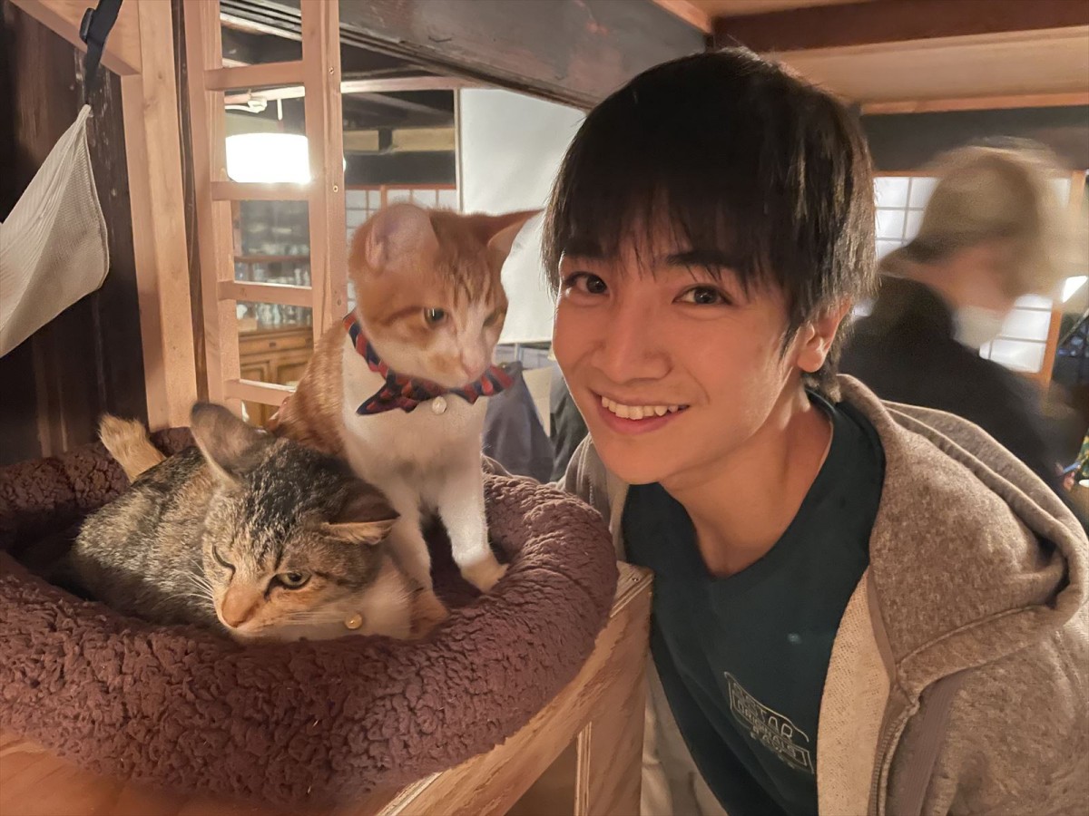 ねこ愛ダダもれオフショット写真も初公開！　『劇場版 ねこ物件』ショート予告＆場面写真到着