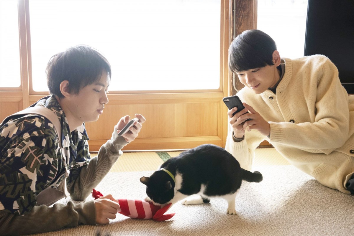 ねこ愛ダダもれオフショット写真も初公開！　『劇場版 ねこ物件』ショート予告＆場面写真到着