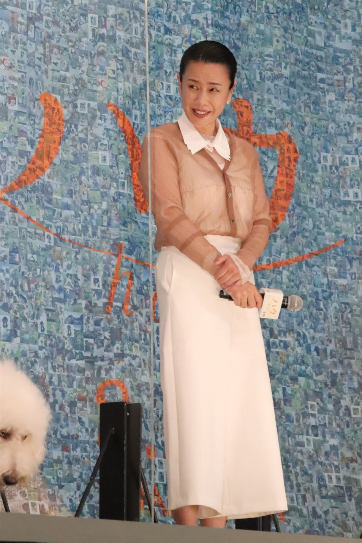 田中圭、俳優犬・ベックの演技に「ズキュンでした」私生活で最近癒された存在も告白