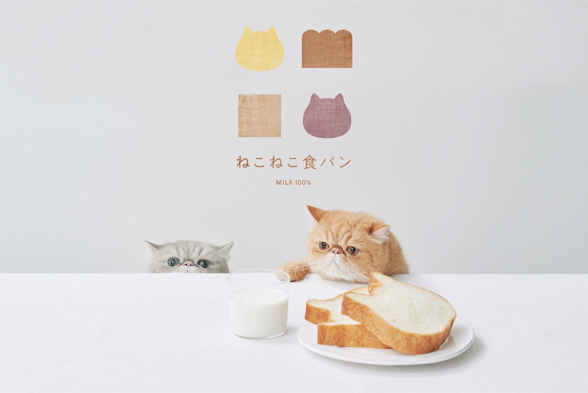 220811_ねこねこ食パン スイートポテト