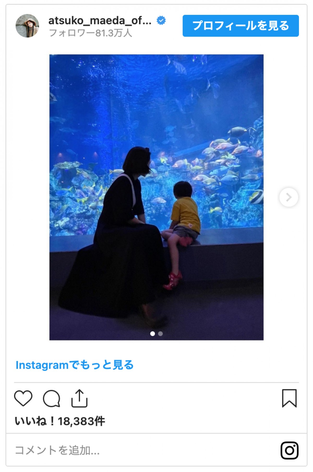 前田敦子、3歳息子と“絵になる”水族館デートを報告「後ろ姿そっくり」