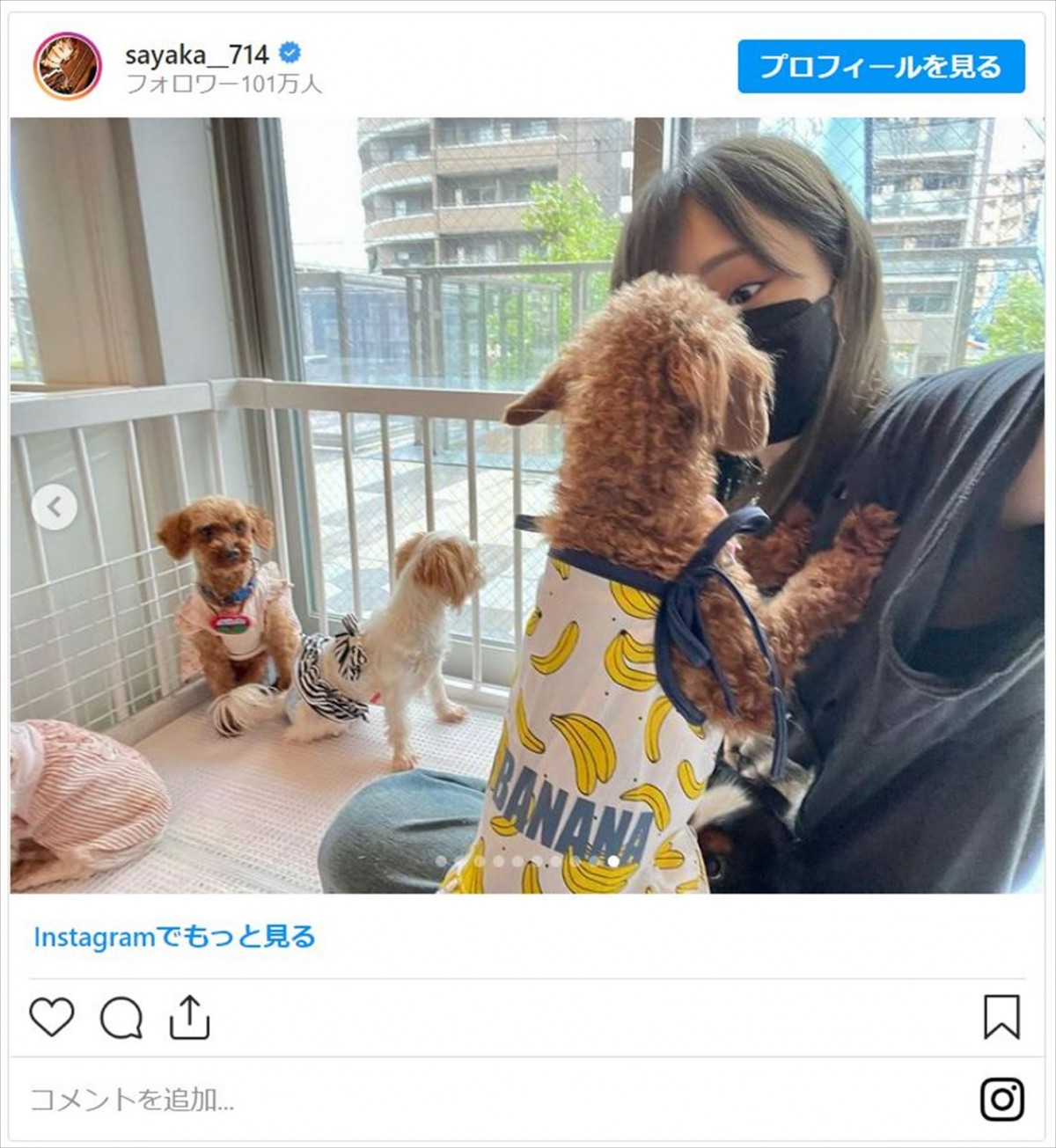 山本彩、“保護犬・猫カフェ”へ「小さくても出来ることは確実にある」