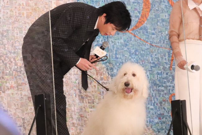 田中圭 俳優犬 ベックの演技に ズキュンでした 私生活で最近癒された存在も告白 22年8月1日 写真 映画 ニュース クランクイン