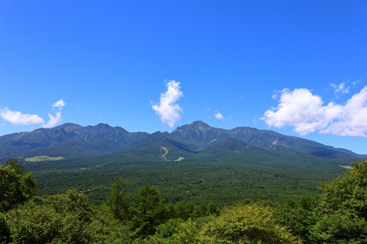 八ヶ岳PRIVATE WOODS NADA20221130