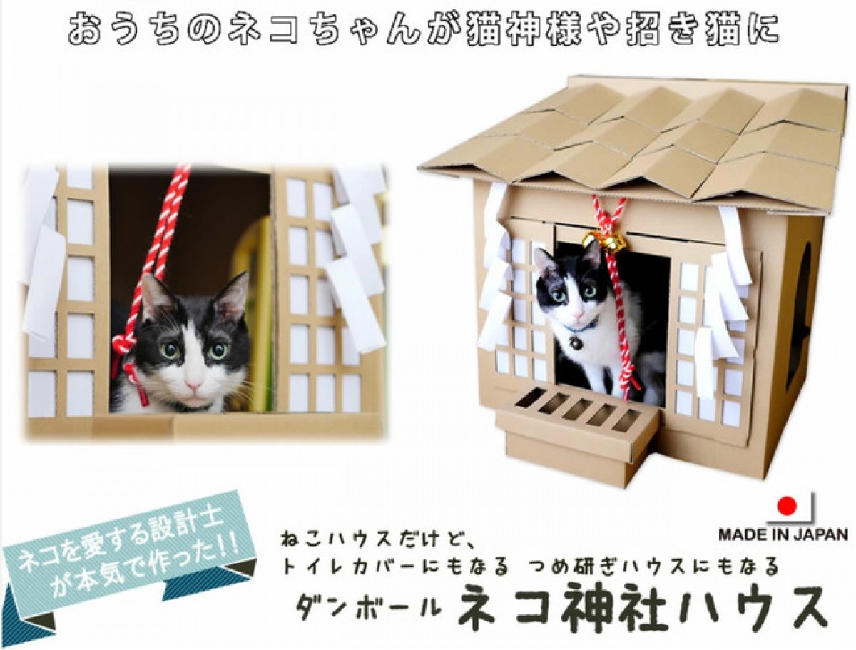 221201_猫専用こたつ付きみかん