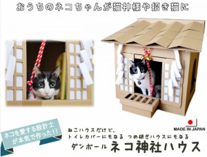 221201_猫専用こたつ付きみかん