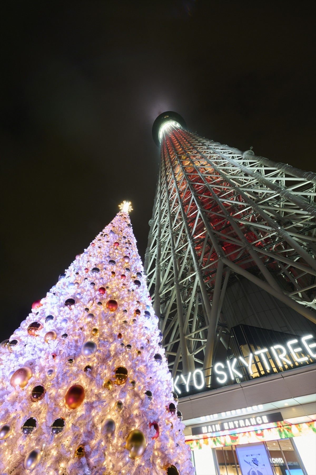 20221223_東京都内のイルミネーション