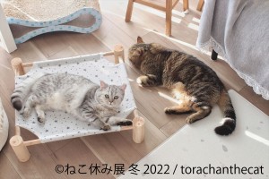 20220127_ねこ休み展 冬 2022