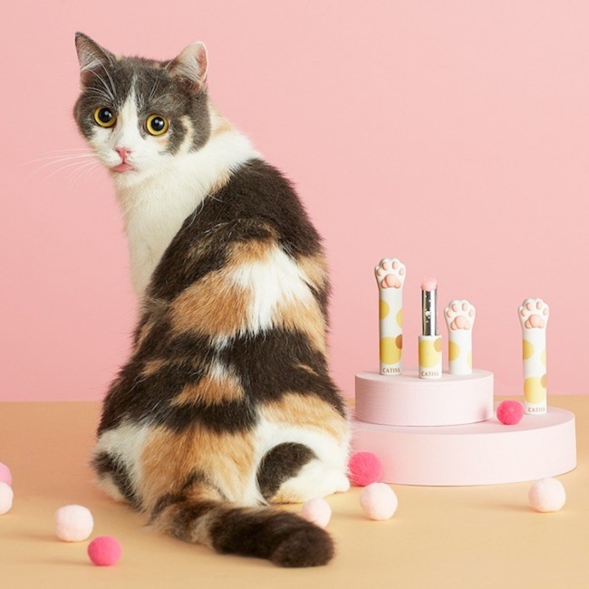 ユニークな“猫アイテム”大集合！　通販サイト「Pinkoi」のおすすめグッズを紹介